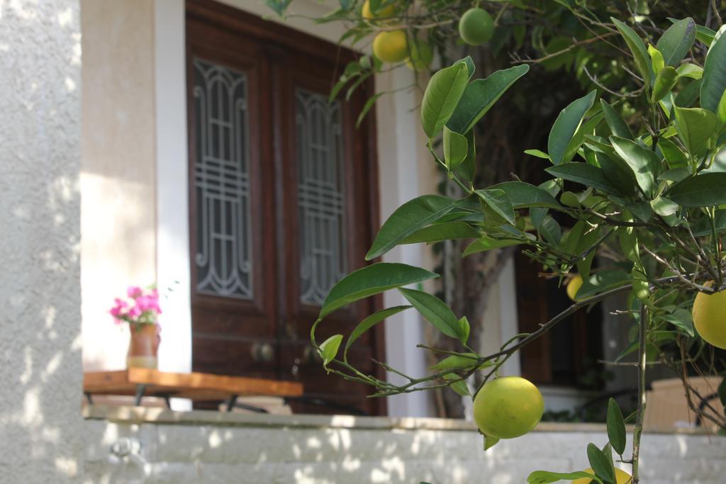 شقة Alice House بورتو خيلي الغرفة الصورة